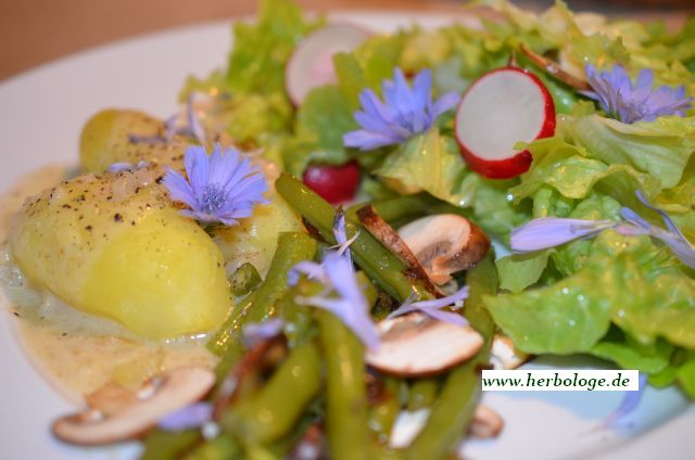 Bohnen-Champignon-Gemüse mit Pellkartoffeln und Salat