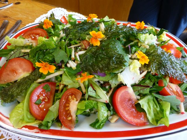 Wildkräuter-Salat mit gerösteten "Brennnessel-Chips"