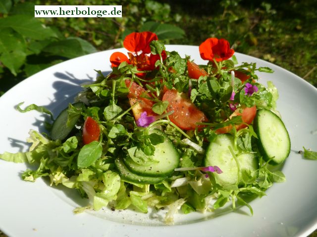 Salat mit Vogelmiere und Blüten