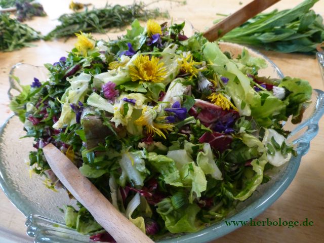 frischer Wildkräuter-Salat mit Blüten