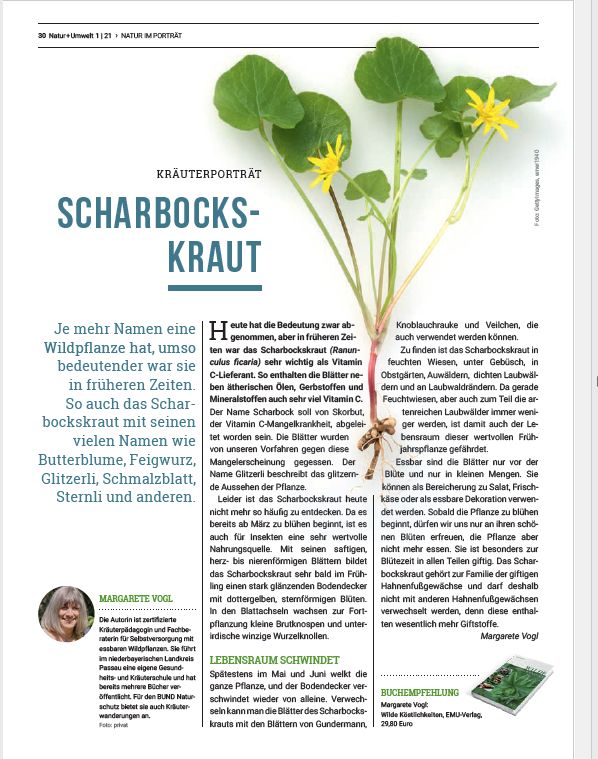 Artikel in der Zeitschrift vom Bund Naturschutz Frühjahr 2021